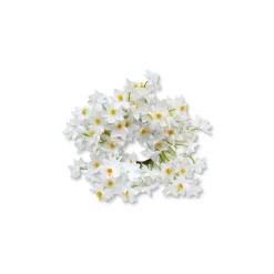 Chefanie Daffodil Napkin Rings (4) Clearance
