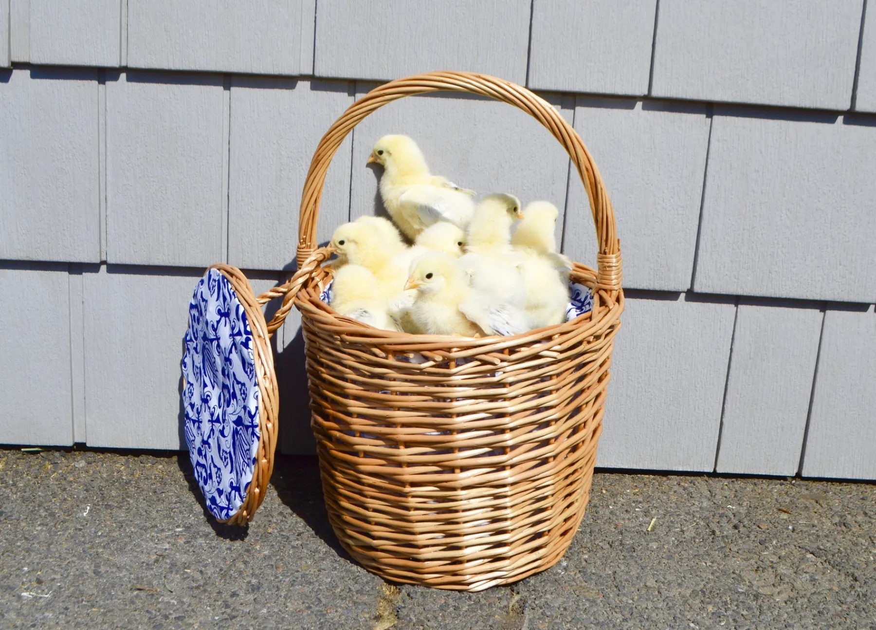 Chefanie Honey Wicker Basket